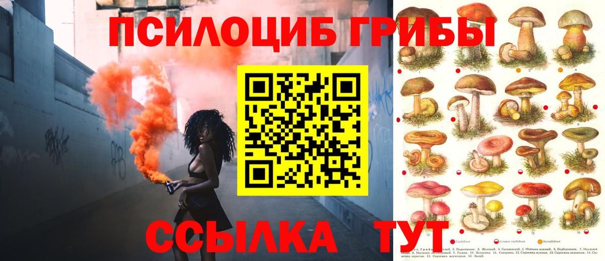 Галлюциногенные грибы мухоморы  Вход с VPN  Скопин 