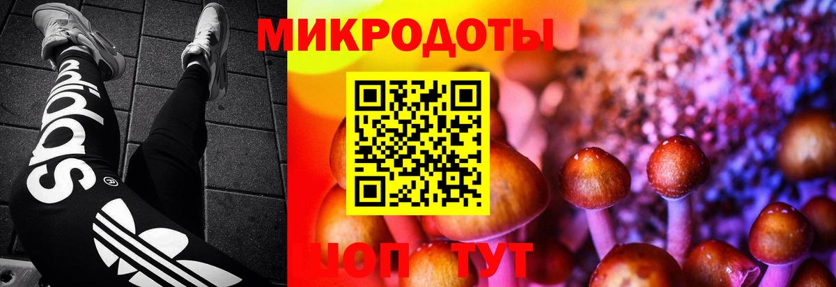 Галлюциногенные грибы мухоморы Скопин