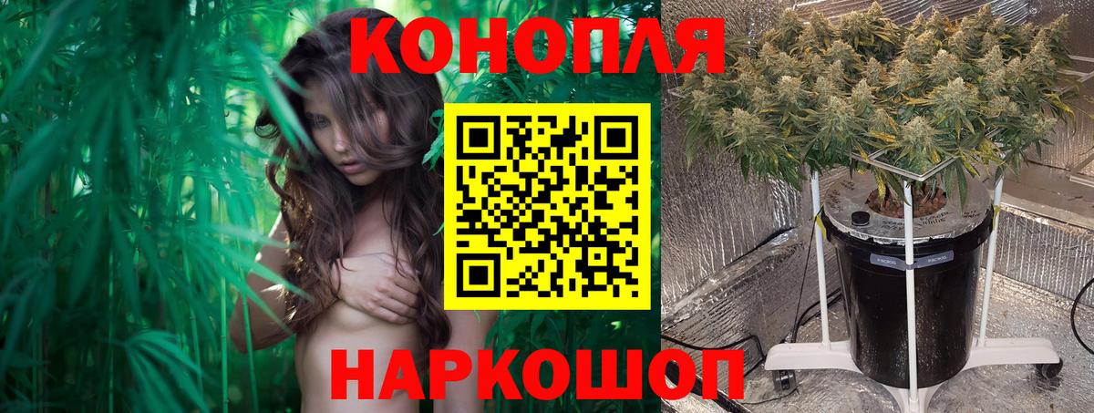 Шишки марихуана марихуана Скопин